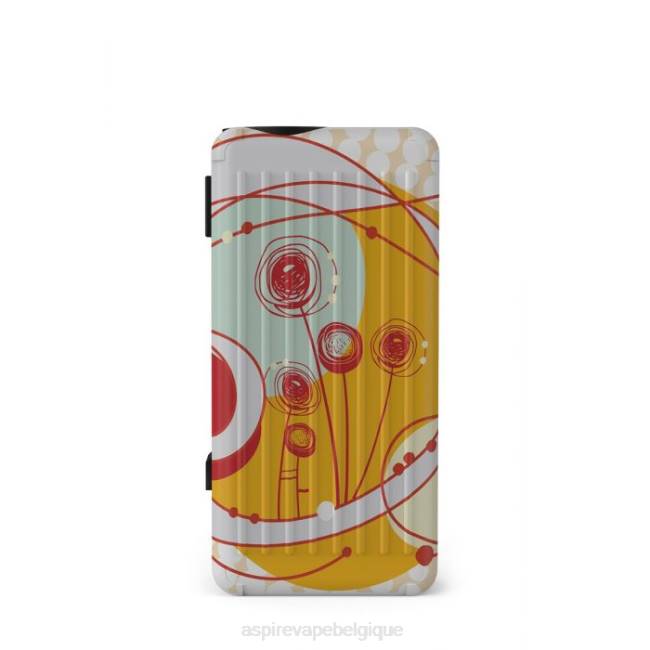 Aspire Puxos Mod batterie p6 Aspire vape amazon 86XN202