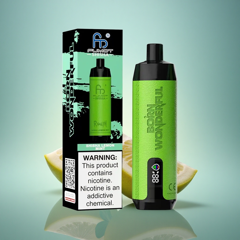 RandM Fumot Shisha 10000 Puffs Citron Menthe Shisha avec 18ml et 850 mAh