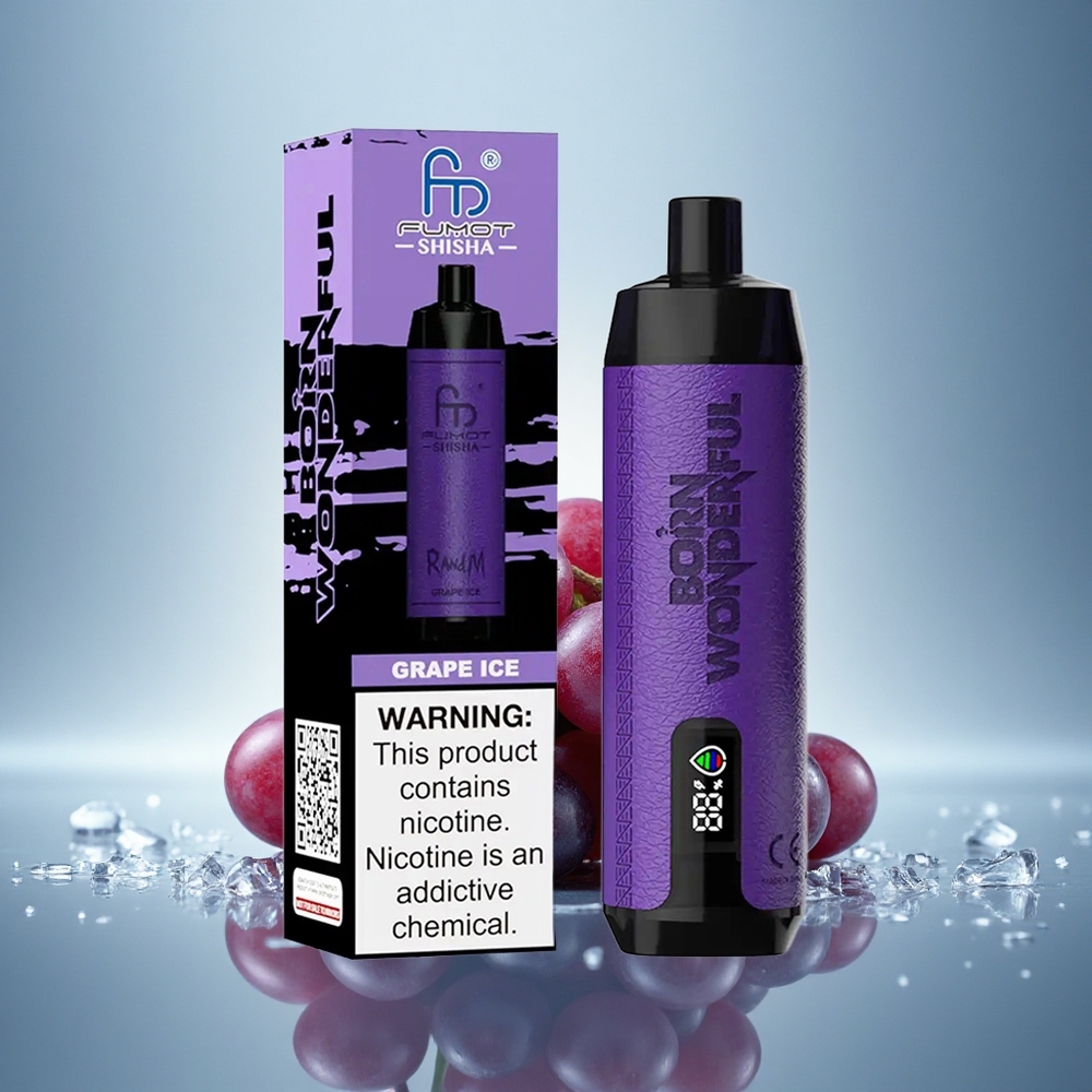 RandM Fumot Shisha 10000 Puffs Glace Raisin LED 850 mAh