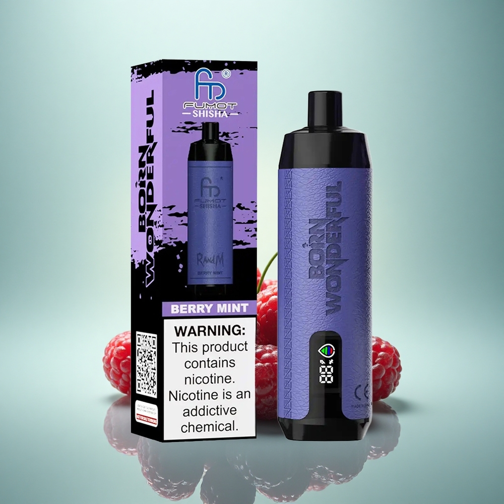 RandM Fumot Shisha 10000 Puffs Menthe Baie avec 0,5% de nicotine et batterie 850 mAh