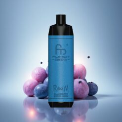 RandM Fumot Shisha 10000 Puffs Bubblegum Myrtille avec 0,5% de Nicotine et Batterie 850 mAh