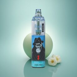 RandM Fumot Tornado 7000 Puffs Menthe Fraîche 850 mAh 5% Nicotine